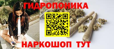 МДПВ Брянск