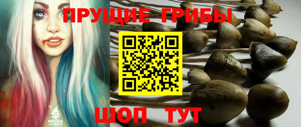 Галлюциногенные грибы Cubensis  Вход с VPN  Воскресенск 